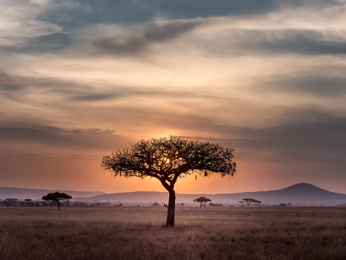 Cryptocurrency Adoption in Africa